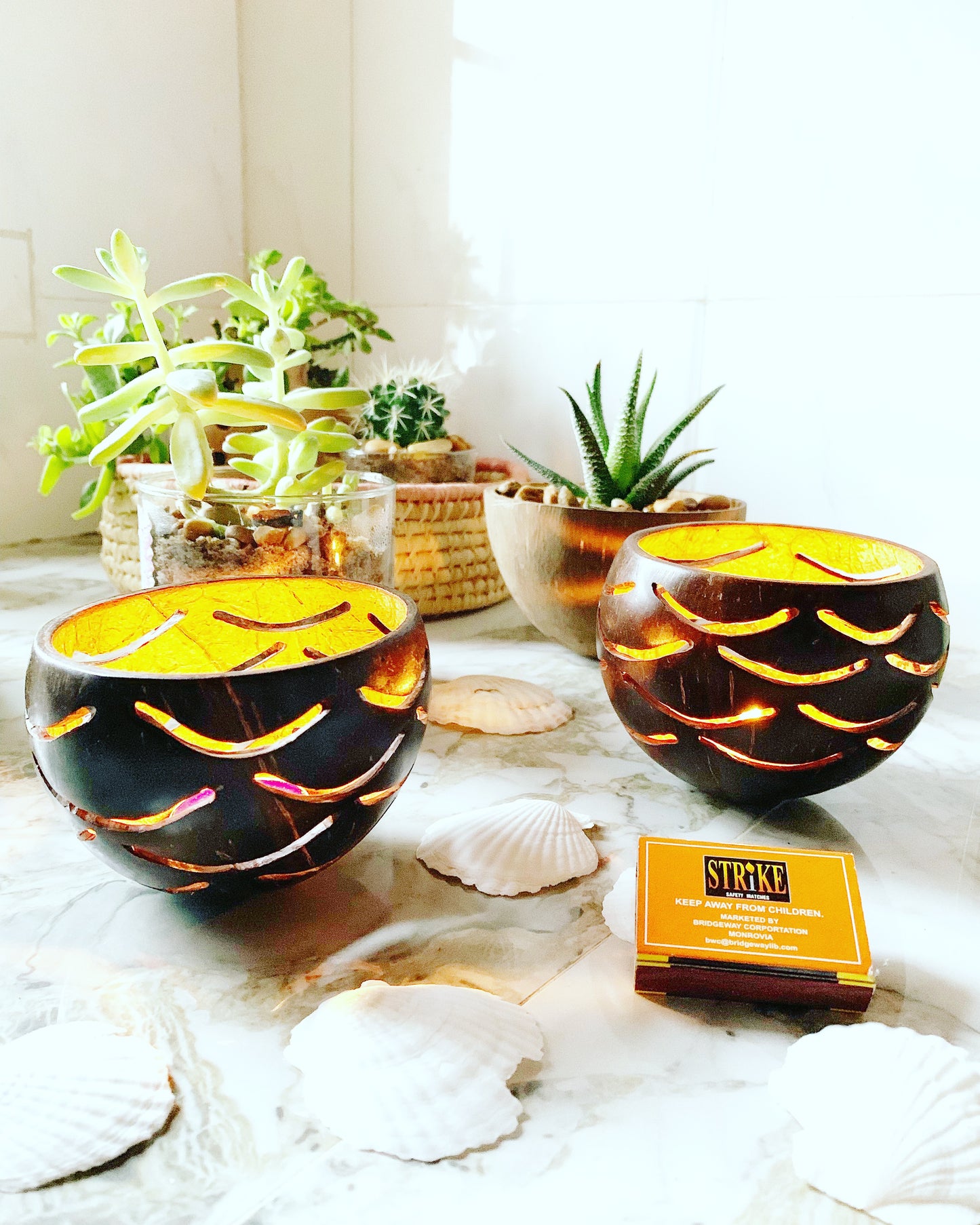 Coconut Tea Light Holder - Ellefoodie