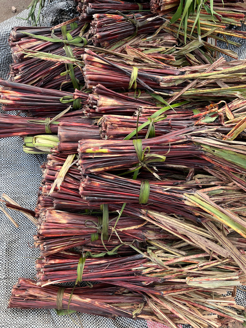 Red Sorghum