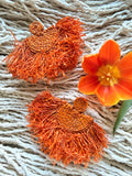 Fringes